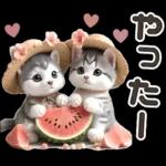 夏 猛暑 酷暑♡シベリアンハスキーとネコ