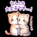 😍憧れ💕アルバム