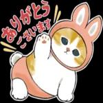 にゃんぱんつ_-_～