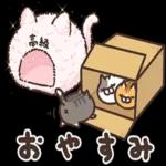 ニャー星人の楽園🤩🤩