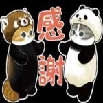 本当にcoooo