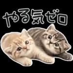 やる気ゼロ♡にゃんこ
