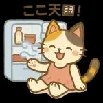 三毛猫の幸せな夏の生活