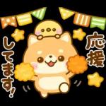 秋に役立つ♡豆柴日和