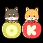 黒豆柴 あずき♡毎日使える 秋冬ver