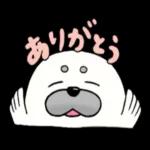アザラシのましゅまろくん1
