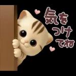 ねこちぃず♡夏スタンプ