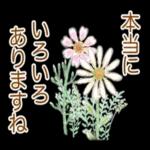 読書の秋、楽しんでいきたいと思います🌻
