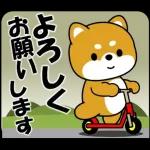 体が大事です👩🏻‍⚕️👩🏻‍⚕️👩🏻‍⚕️