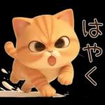 ぽっちゃりちび橘猫2
