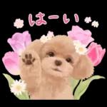 大人かわいい♡いぬと花のスタンプ