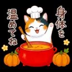 三毛猫のつめあわせ【秋】