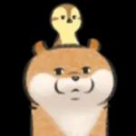 可愛い嘘のカワウソ❤️