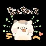 となりのにゃんこ　summer2022