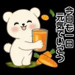 癒しを運ぶくまさん ♡ ポジティブ