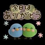 気遣い♡かわいい動物３D夏