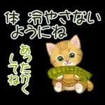冬のキラキラおめめの子猫ちゃん