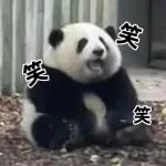 おすすめ！かわいいパンダチャン
