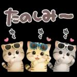 ねこちぃず♡夏スタンプ