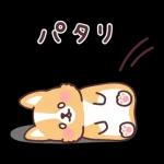 可愛い子犬スタンプ登場