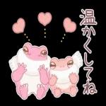 🌹Happy Valentine's day❤️🍫