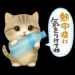 ちびニャンず♡夏の日常-毎日使える-
