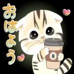 かわいい猫😺が来ますよ！