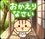 夏も飛び出す♪ ネコちゃん ハムちゃん