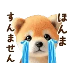 👵✨伝説のばあちゃんまた登場！