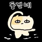 말수가 적은 고양이