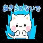 気づかいのできるネコ♪