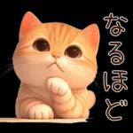 ぽっちゃりちび橘猫2