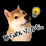 Premium 柴犬こてつ君*スタンプ第二弾