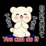 癒しを運ぶくまさん ♡ ポジティブ