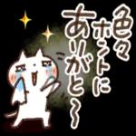 今年の冬もよろしくお願いします！