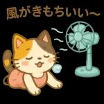 三毛猫の幸せな夏の生活