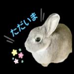 むーちゃんかわいこちゃんのスタンプ