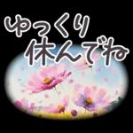 落ち着いて恋人を。。。