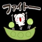 やさしいキモチのしろくまさん