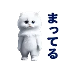 踊る！ペルシャ猫