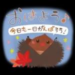 秋の定番❤️毎日使える優しい日常