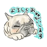 【動く】毎日使えるフレンチブルドッグ