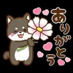 黒豆柴 あずき♡毎日使える 秋冬ver