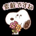 涼しくして
