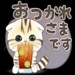 かわいい猫😺が来ますよ！