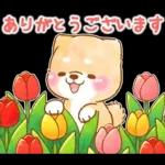 ぽかぽか春便りを届けよう