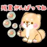 愛する人に感謝を送る❤️いやしばいぬ赤柴