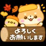 秋に役立つ♡豆柴日和