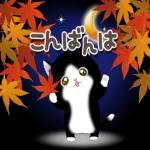 素敵な一日になりますように〜