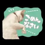 まるちゃんスタンプ＃1